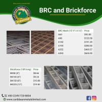 BRC and Brickforce
